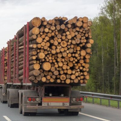 Polițiștii din județul Suceava au confiscat lemn în valoare de 40.000 de lei