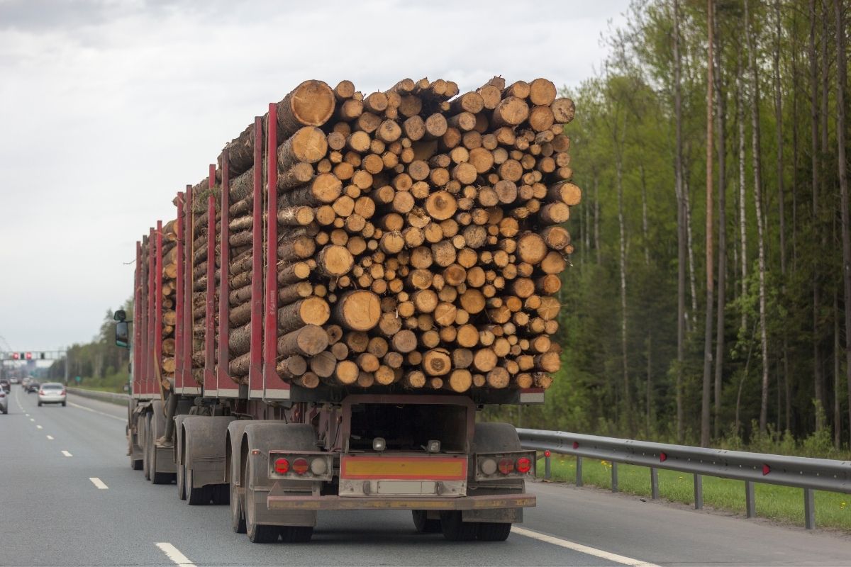 Polițiștii din județul Suceava au confiscat lemn în valoare de 40.000 de lei