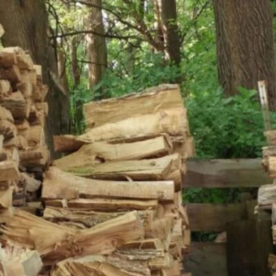 Găsește pisica ascunsă în această grămadă de lemne! O poți vedea în timp ce doarme?